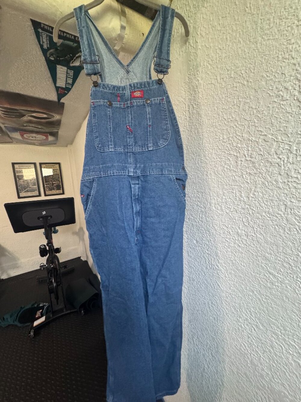 Dickies Men's Overalls